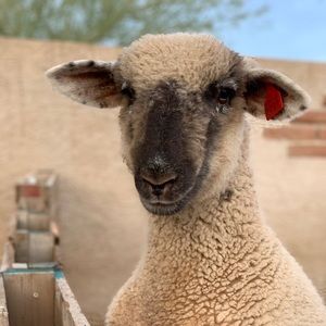 Meet your Posher, Christina